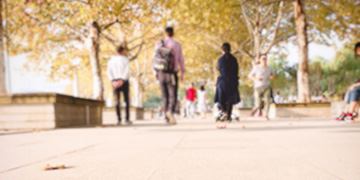 襄城小二专业优势